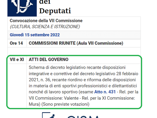 Riforma del Chinesiologo a rischio(?)