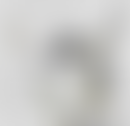 Hip Hop e prevenzione: analisi comparativa tra modelli prestativi ed incidenze traumatologiche