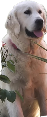 Screenshot_20260712_120857_Gallery.png