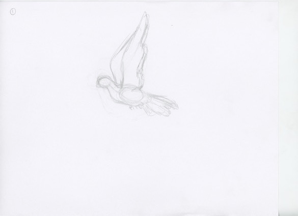Bird Animation Cycle