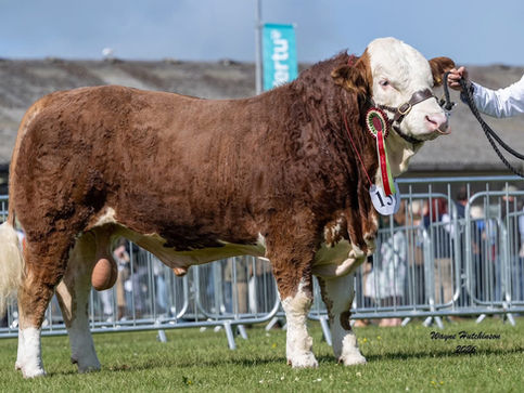 Show Season 2026