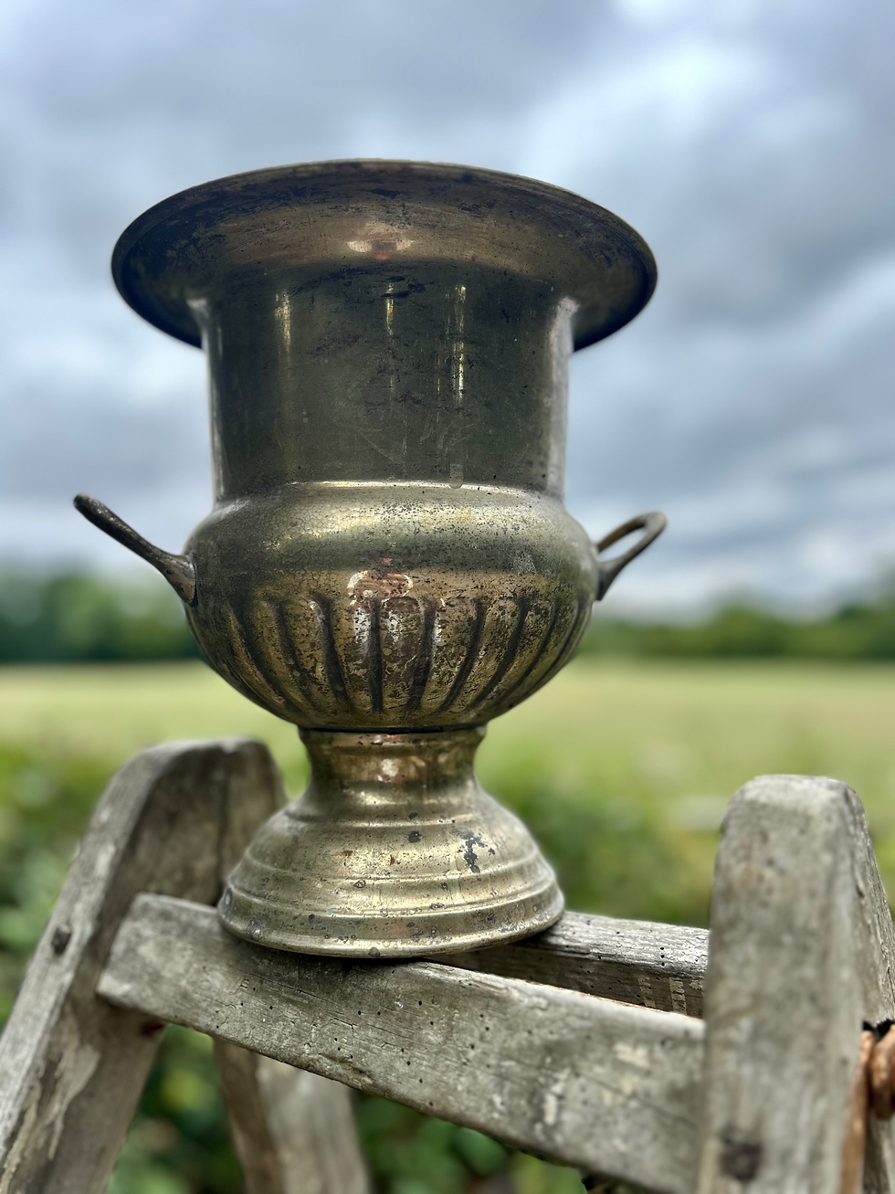 Gorgeous French Antique Silver Plate Ice Bucket. Curca 1920’s.