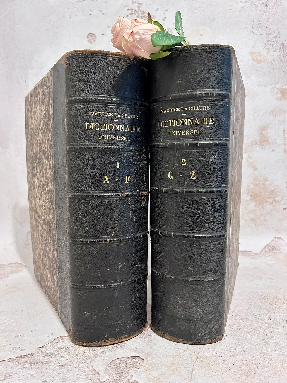 Thumbnail: Pair of French Antique Maurice Lachatre Dictionaries. 1965