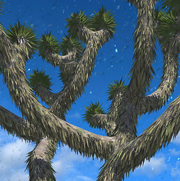 Lifelines_detail_landscape.jpg