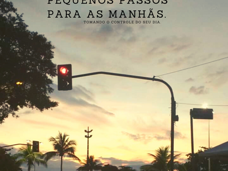 PEQUENOS PASSOS PARA UMA GRANDE TOMADA DE CONTROLE DO SEU DIA