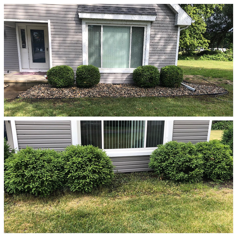 Pruning and stone install