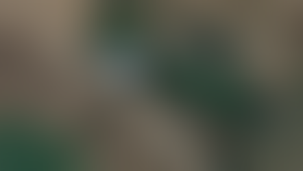 El sueño de una granja