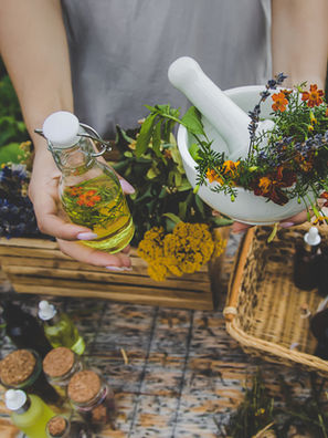 Naturopathic wellness and holistic health consultation