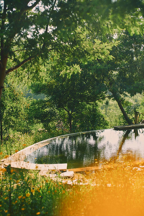 Landscape 09 web.jpg