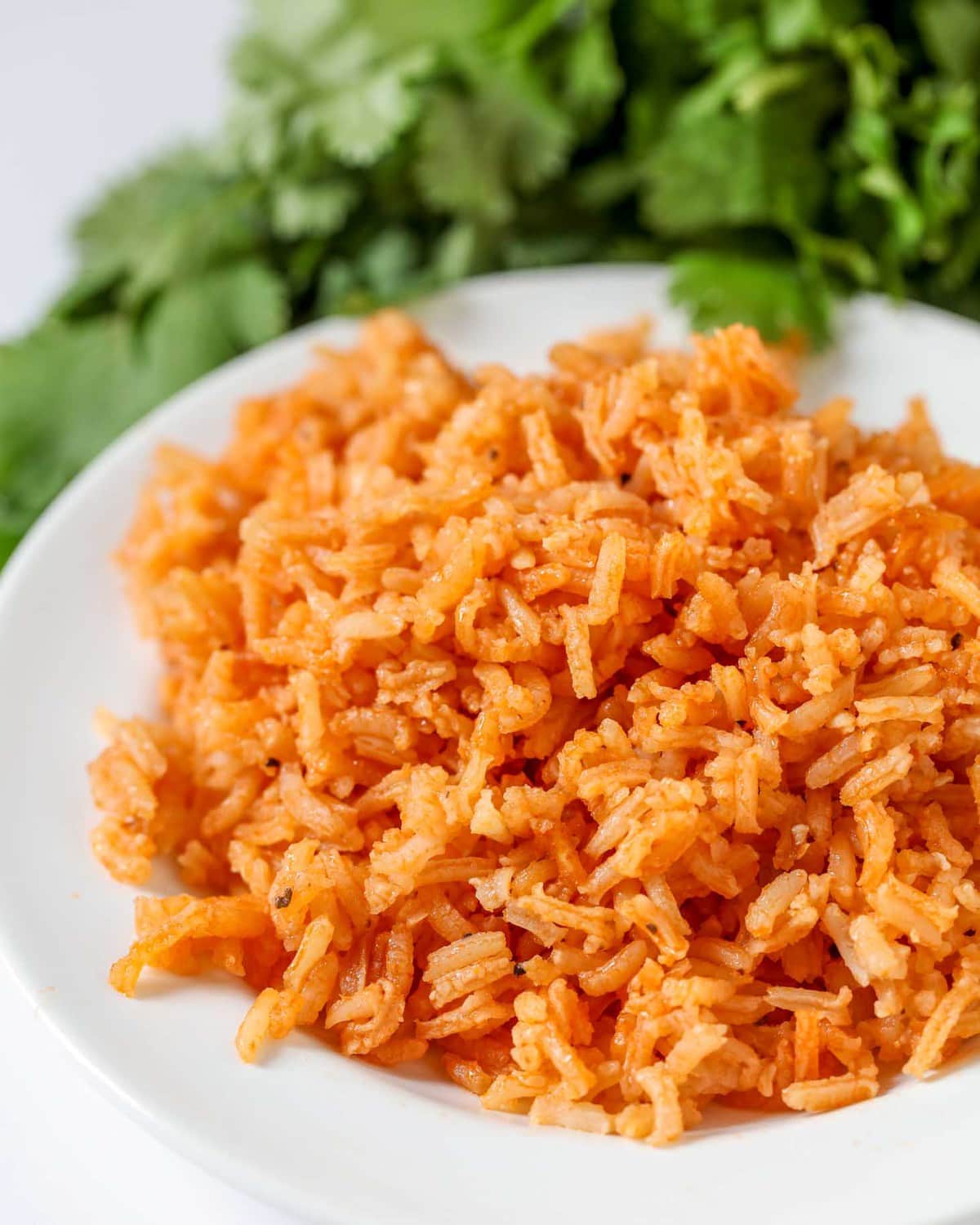 Mexican rice