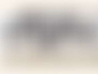 Best of Congress ~ WORKSHOPS