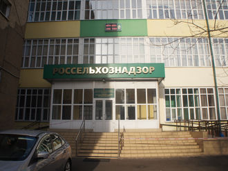 Поздравление