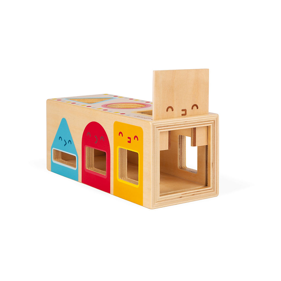 Miniatura: Janod Scatola Forme Geometriche J05330