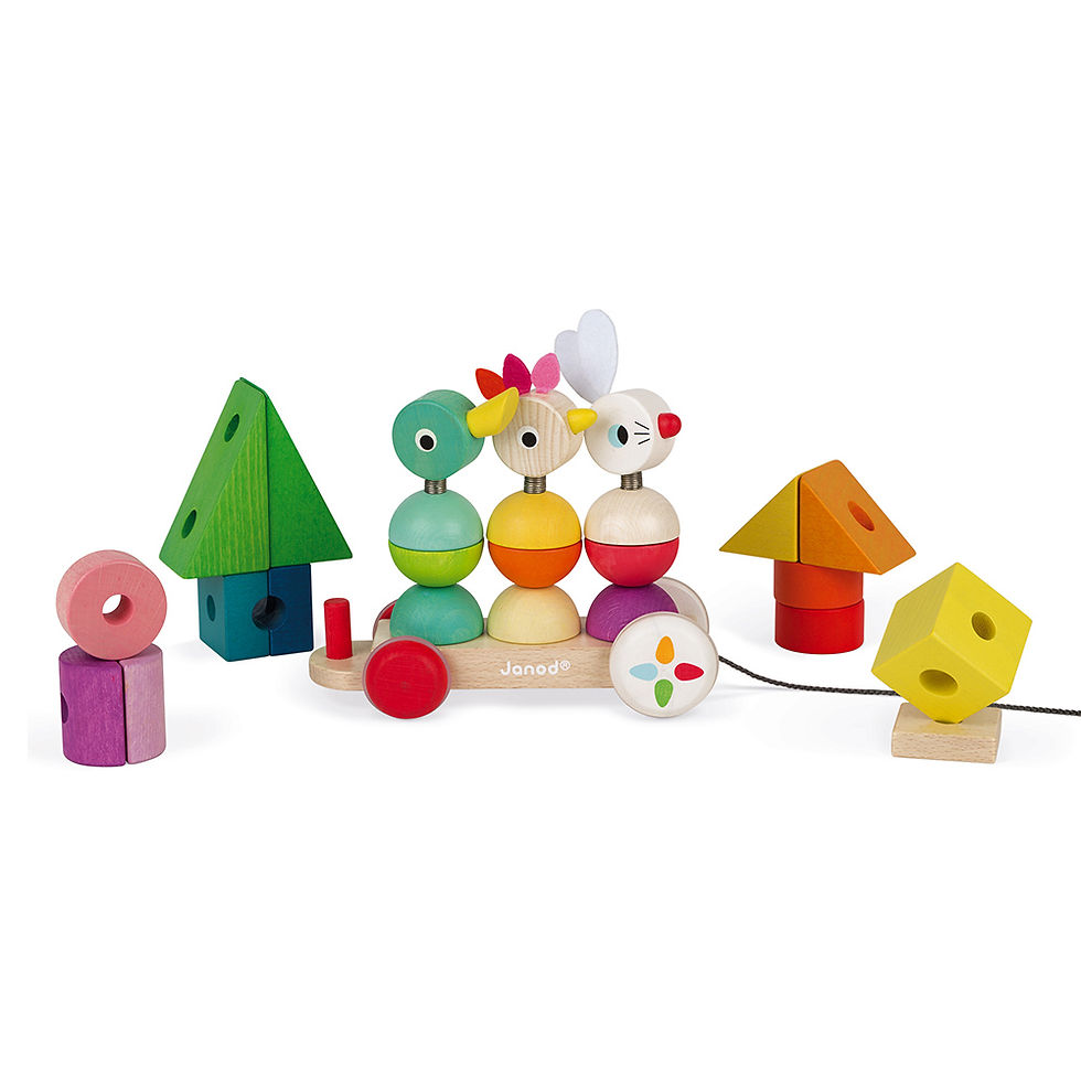 Miniatura: Janod Zigolos Treno Gigante Multicolore J08202