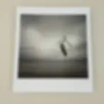 Philip McKay: "Flying Lessons" Limited Edition Chromogenic Print