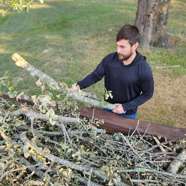 Loading cut tree branches onto a trailer after tree service in Tyler, Texas
