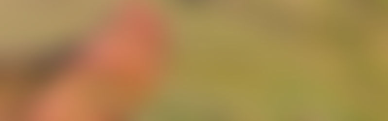 Fuß Tip: Wie pflege ich meine Füße?