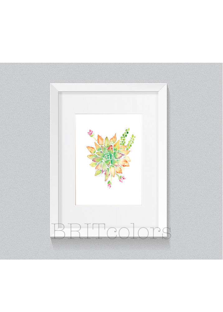 Succulent Print