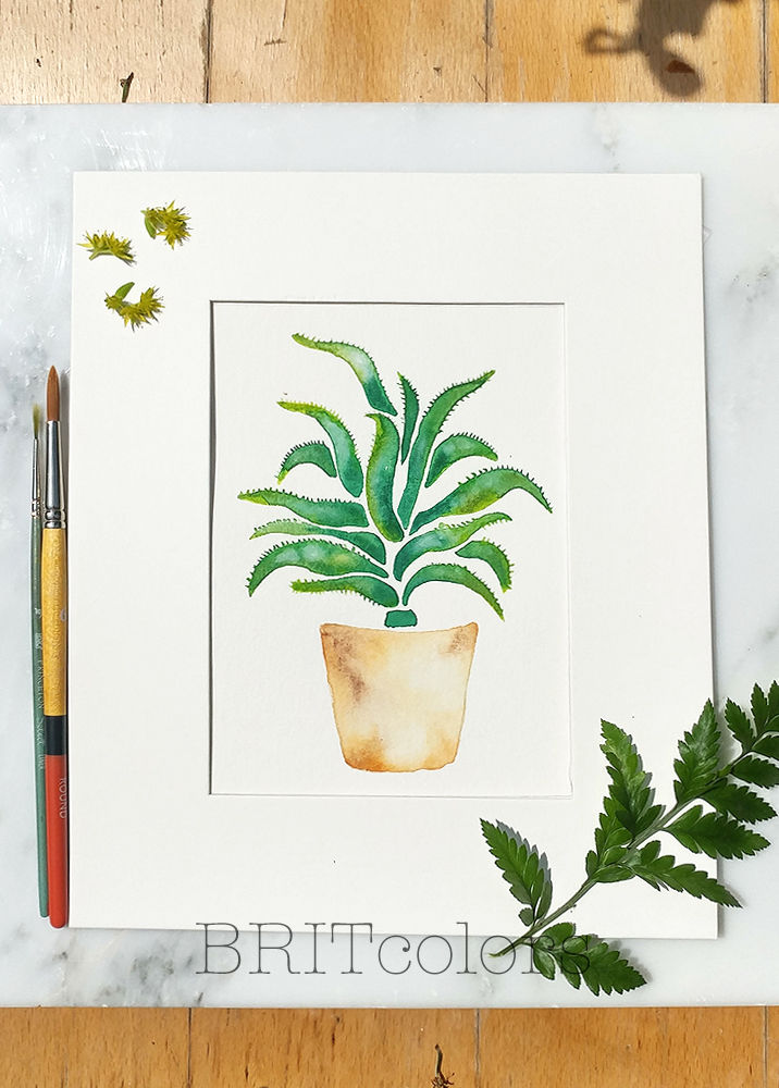Tree Aloe Watercolor Painting