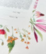 Watercolor & Gold "Wildflowers" Ketubah Print