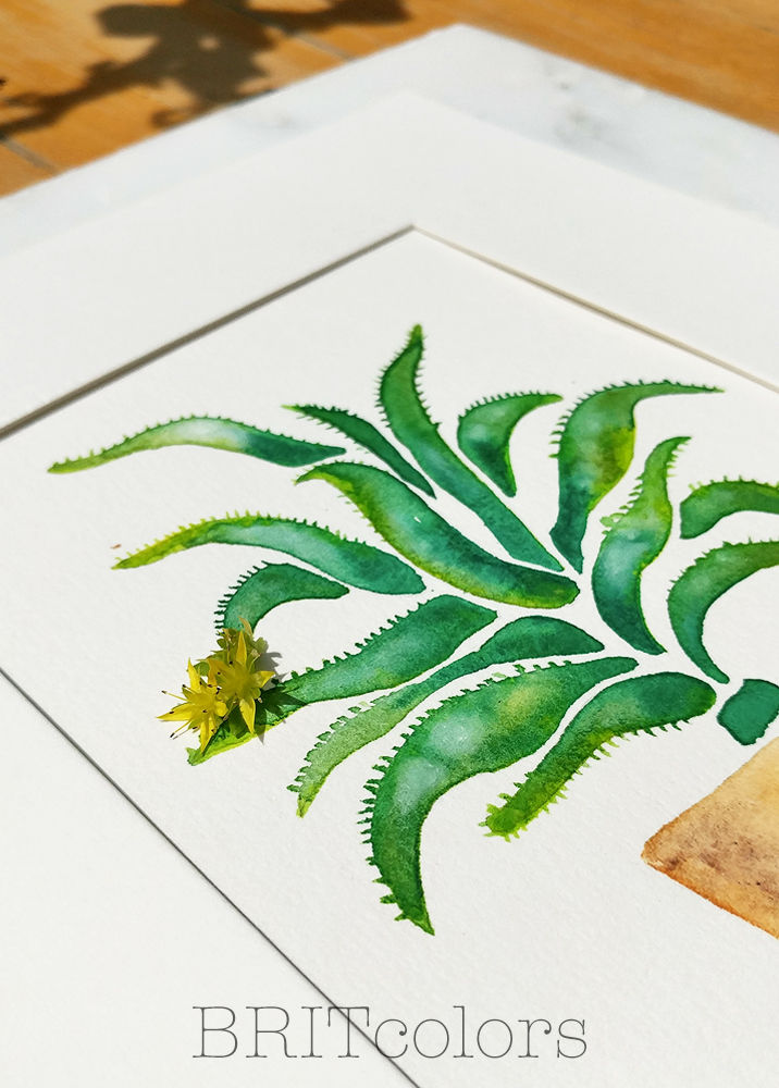 watercolor aloe plant