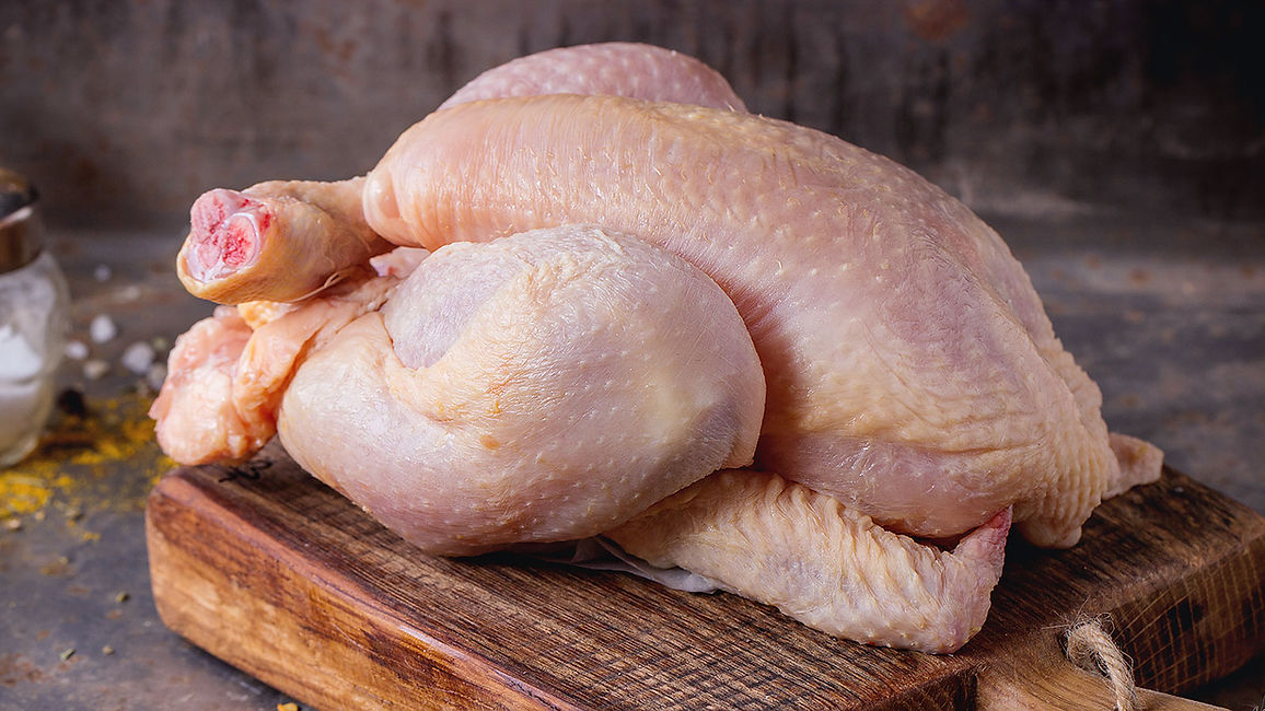 chicken1.jpg