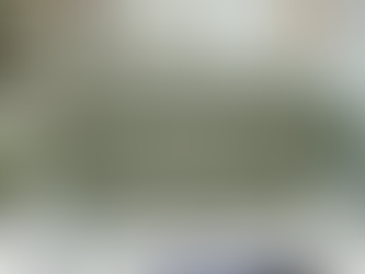 Rejection Sensitive Dysphoria: From Sensitivity to Strength