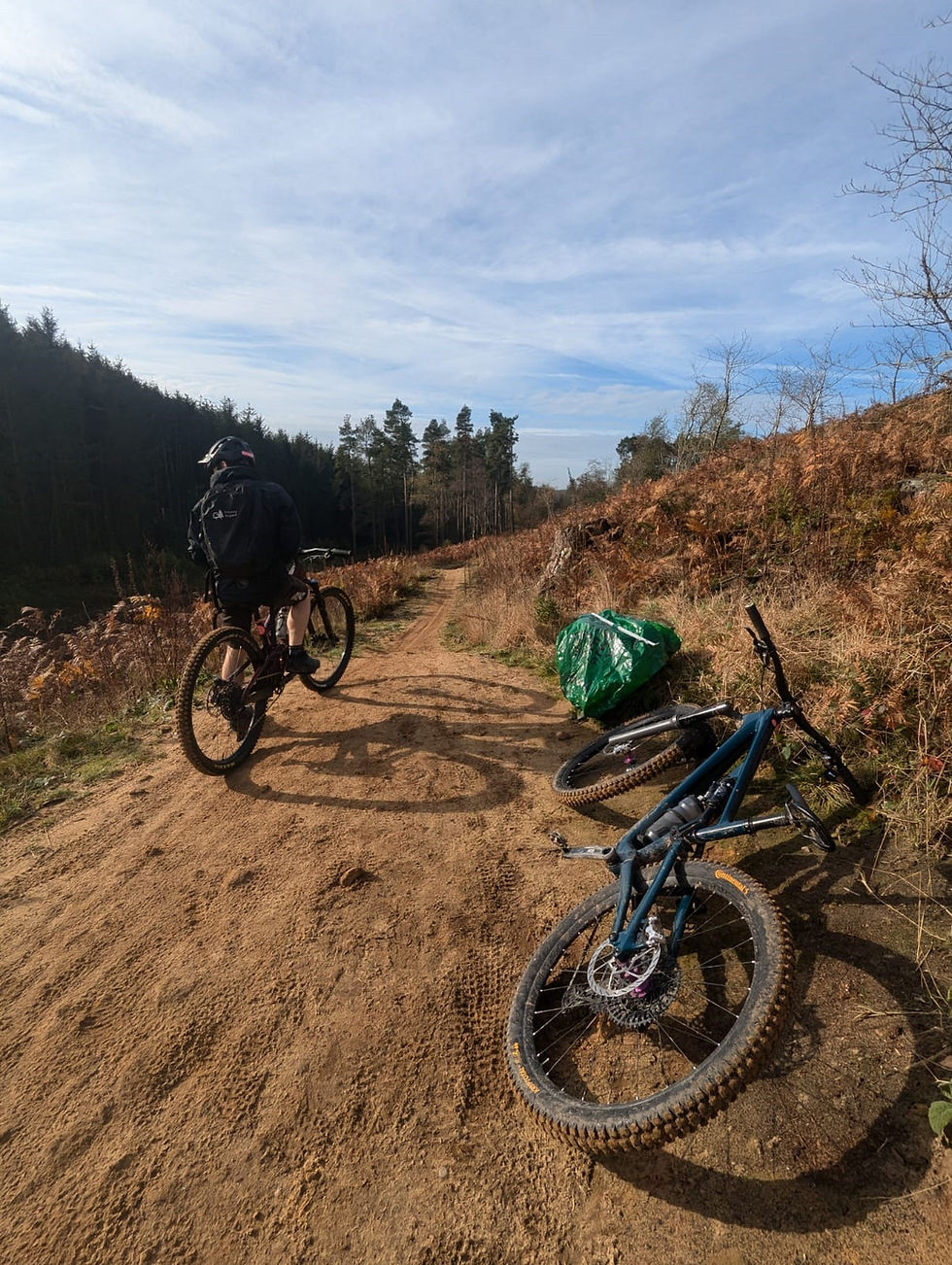 Dalby Forest Autumn Trail Clean