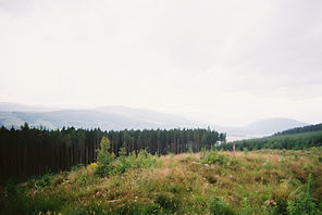 20250624-000060-2 (1).jpg