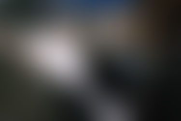 New Tally Who Dis?! Introducing our Trash Survey Updates