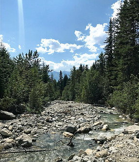 Hiking up Hospital Creek_edited.jpg