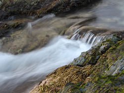 Little rapid.Tess