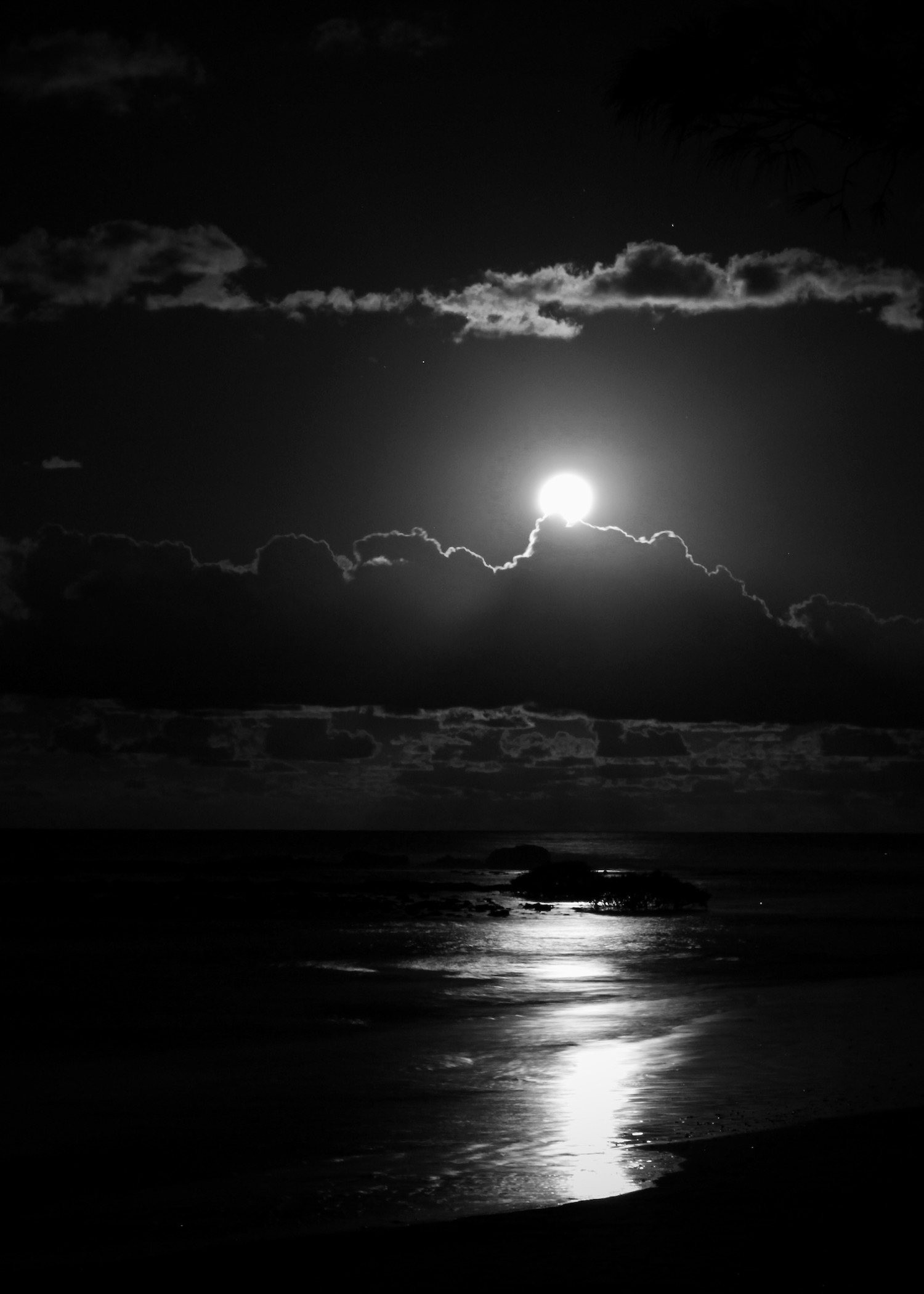 Full Moon.Tess