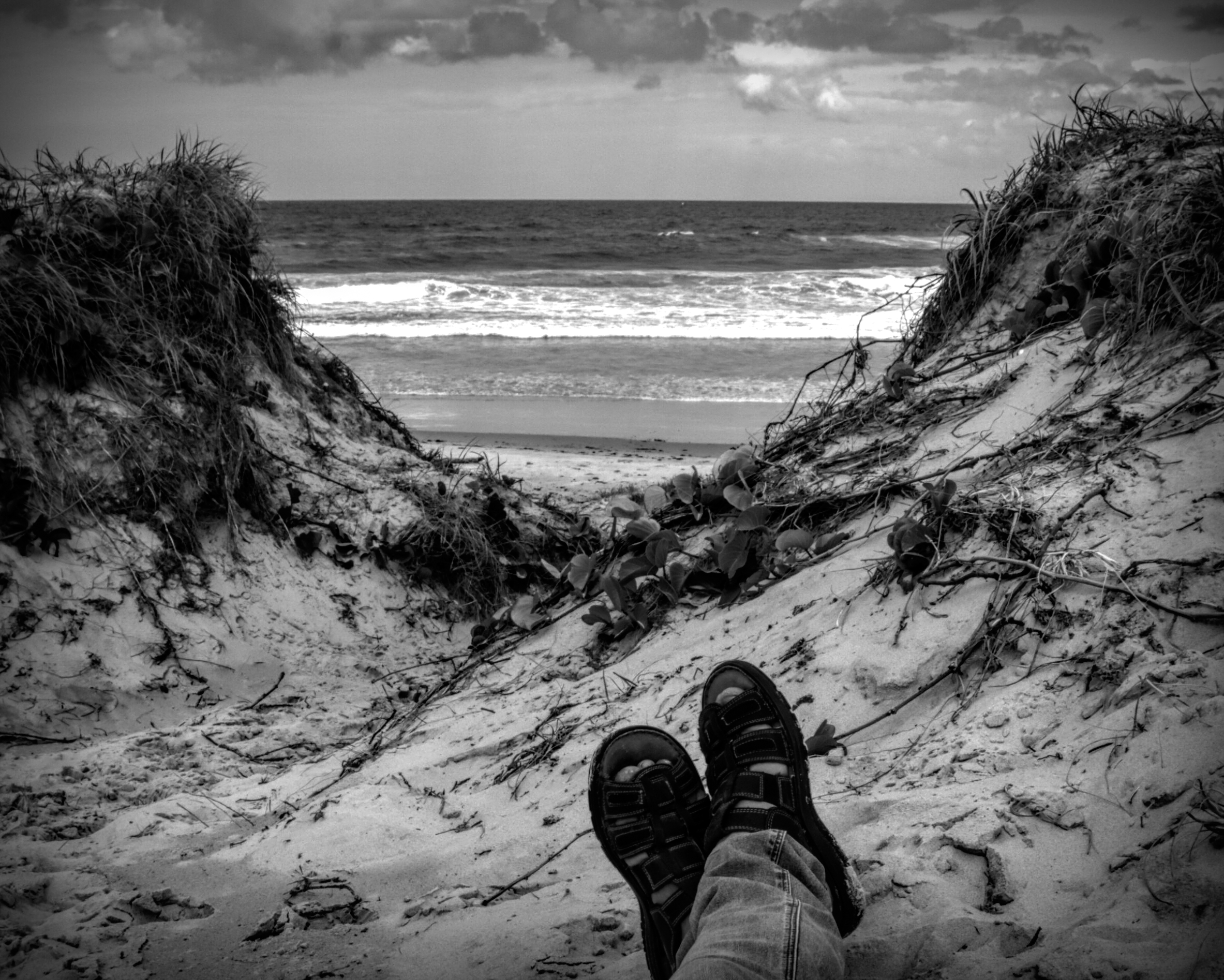 Beach Recluse