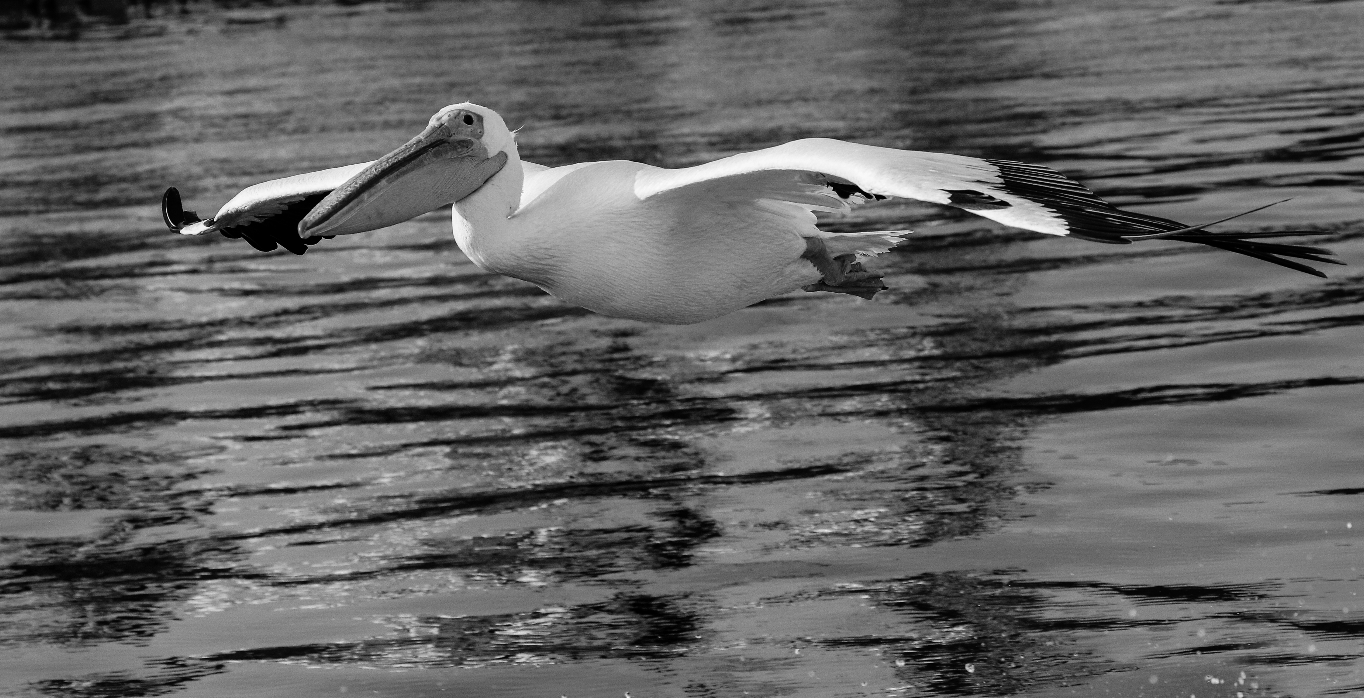 low flying