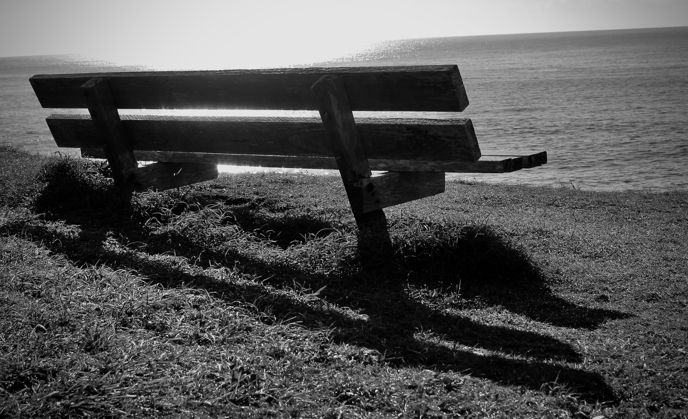 Sunny Seat