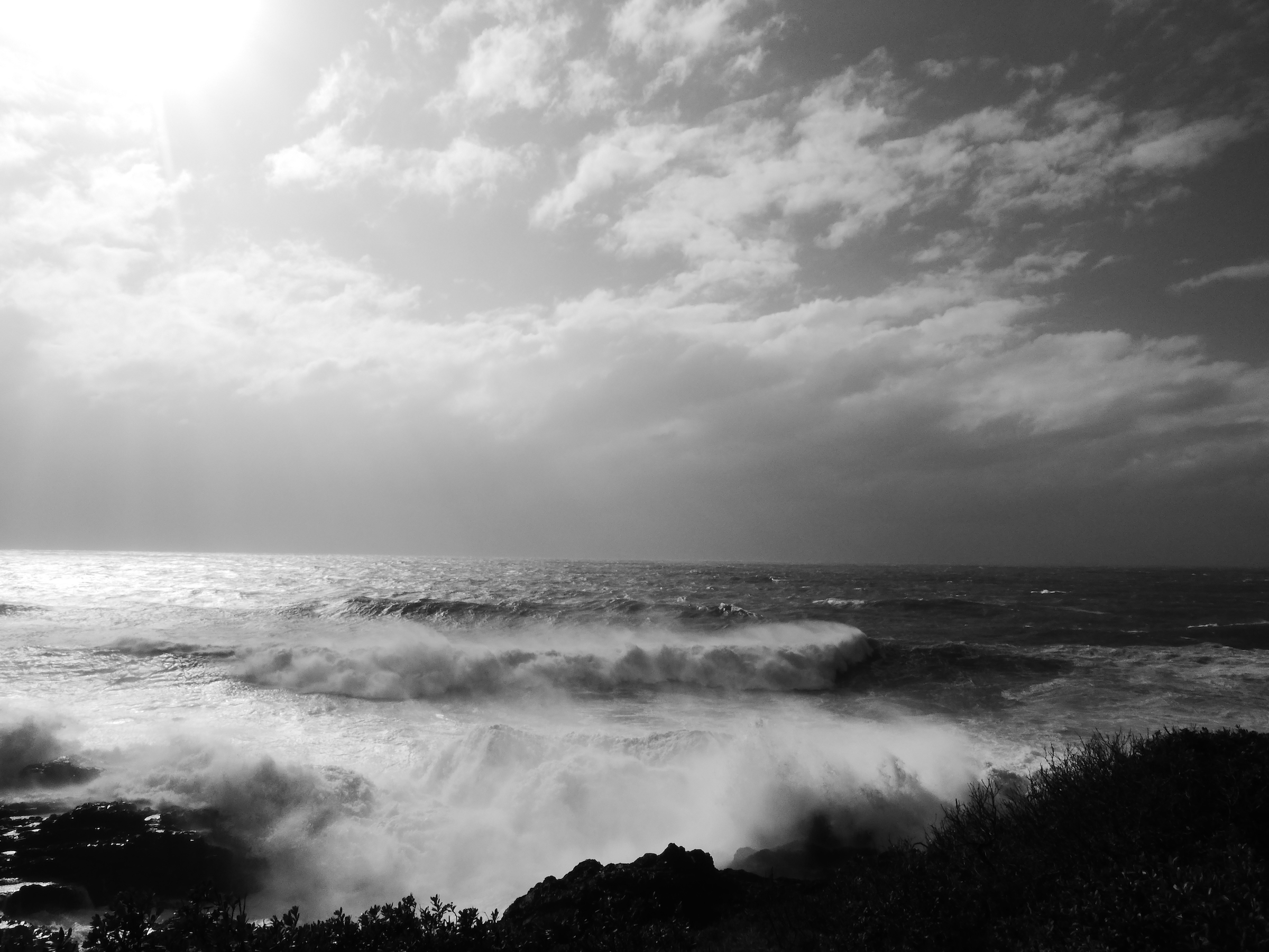 Wild Sea