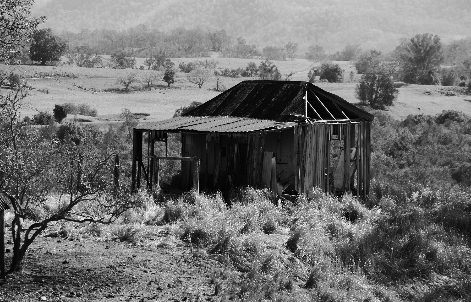 The Old House