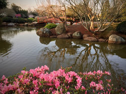 Japanese Garden