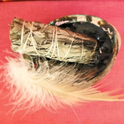 La Sauge Blanche de Californie – Un outil sacré de purification