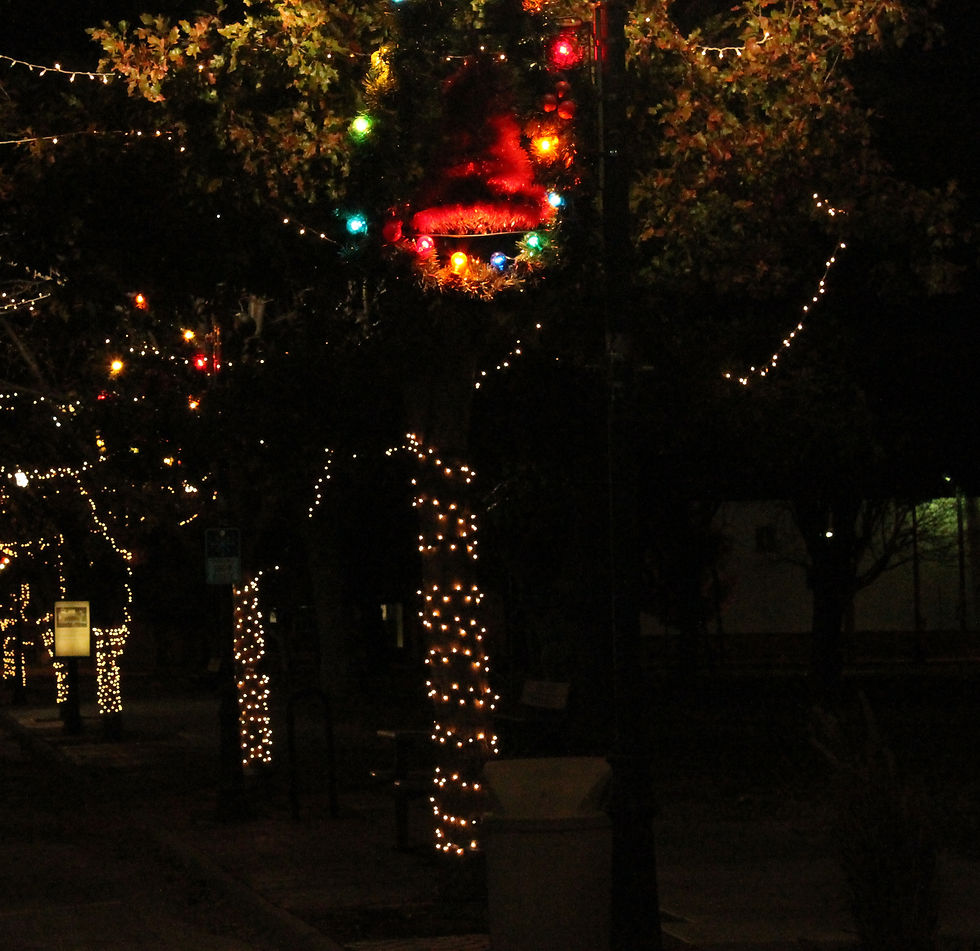 Tree Lighting
