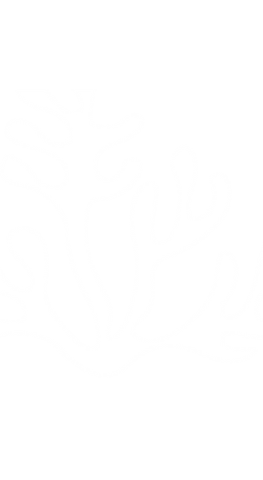 whole seaweed.png