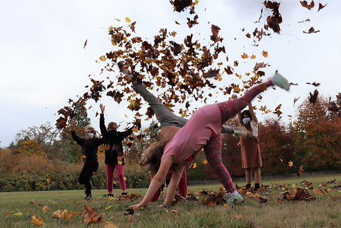 Cartwheel with leaves.jpg