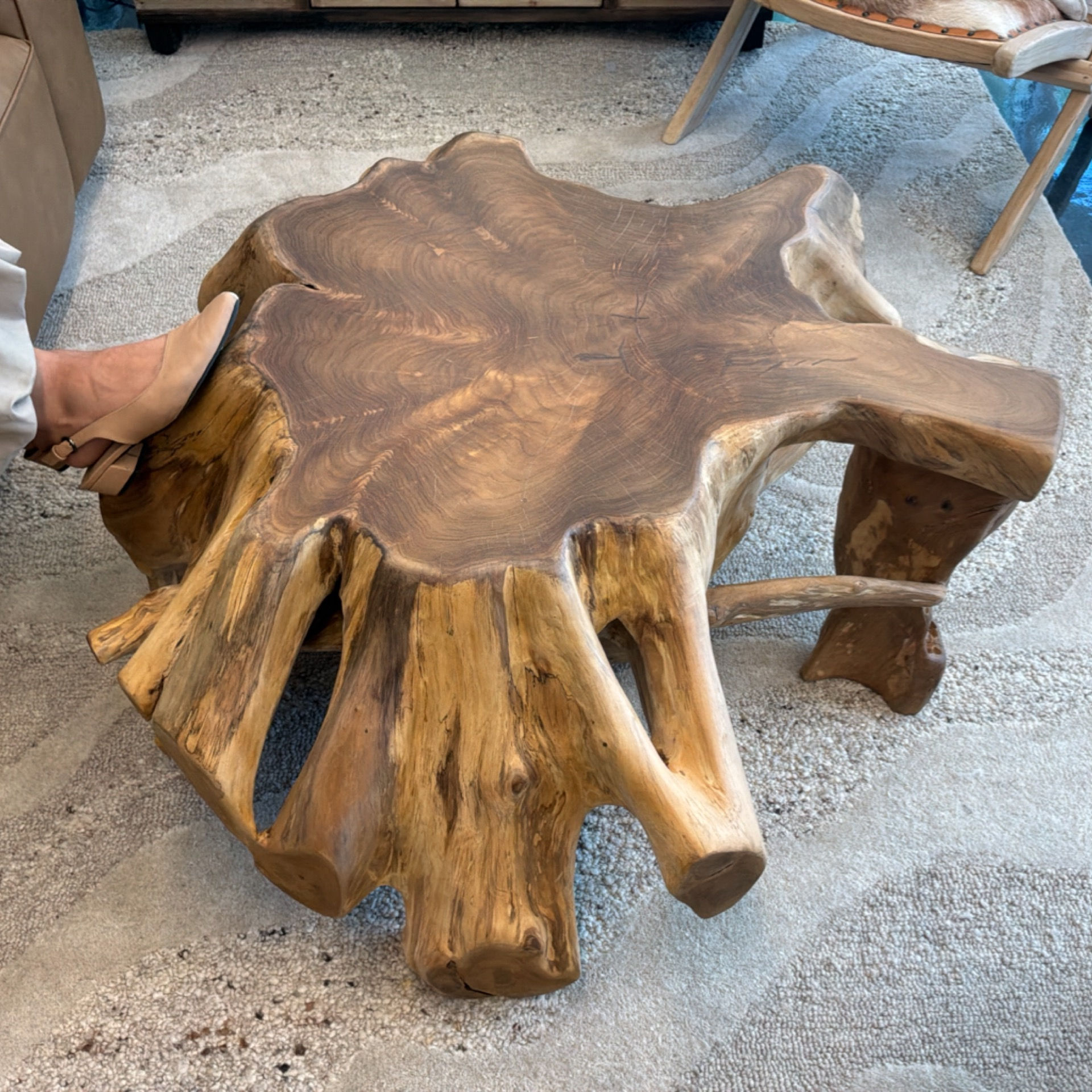 Wooden Root Coffee Table