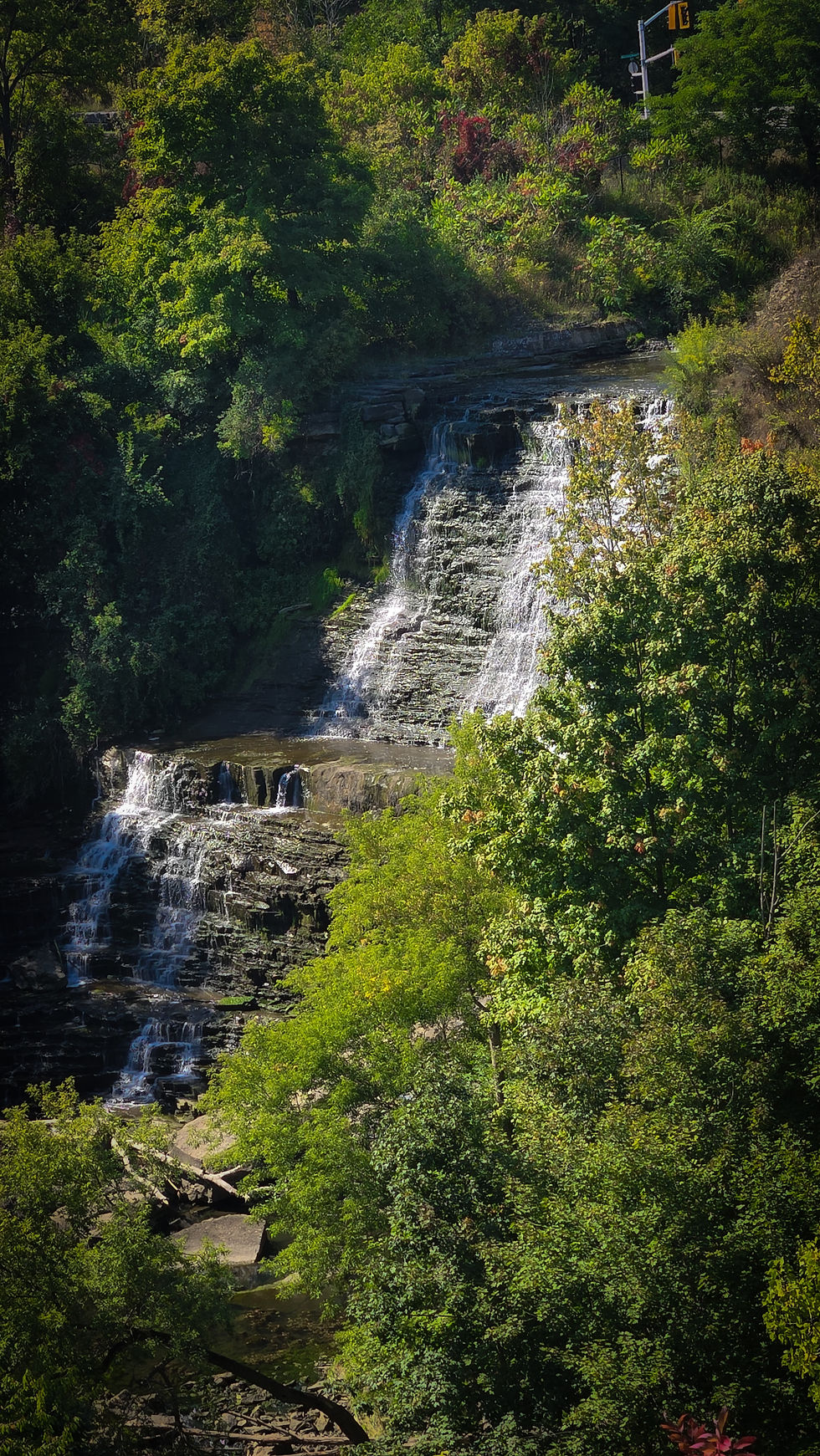 Birthday Adventures to Albion and Tiffany Falls