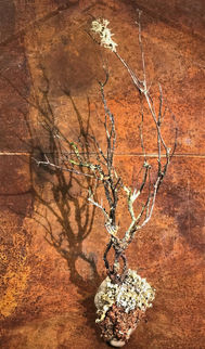 décoration végétale