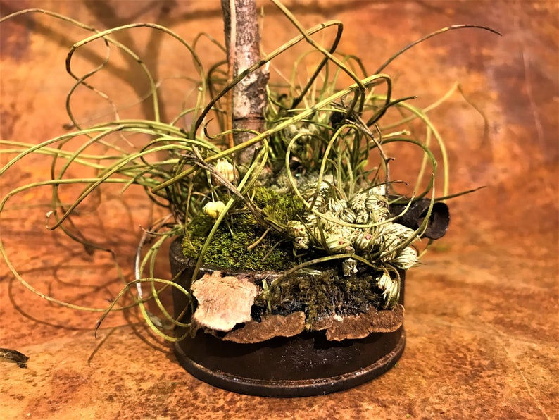 création végétale et métal