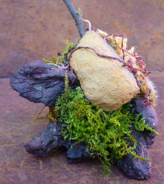 végétaux stabilisées