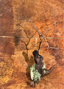 création végétale