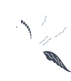 ペガサス 右.png